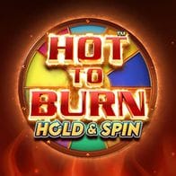 Hot to Burn Hold and Spin game icon
